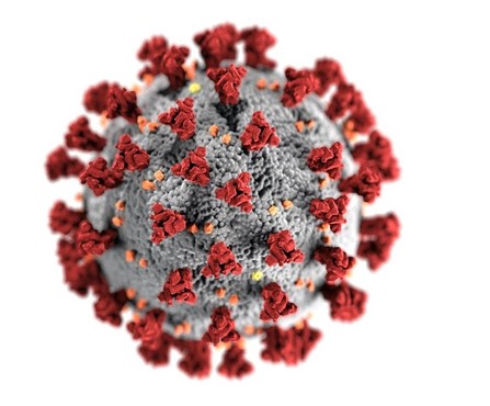 coronavirus.jpg