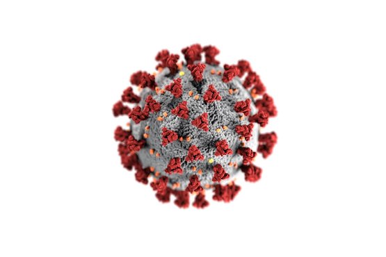 coronavirus.jpg